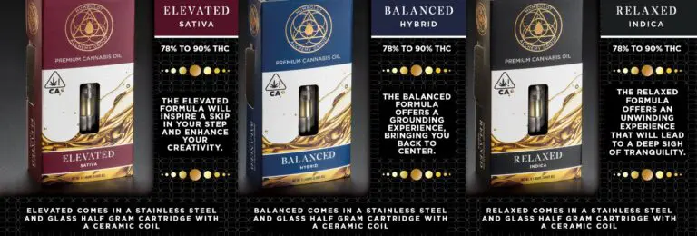 brochure design services