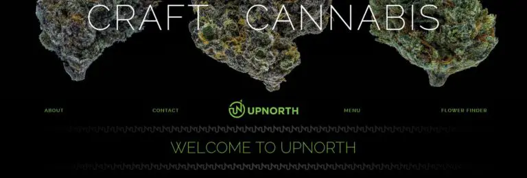 cannabis website design services