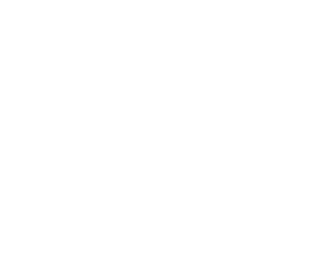 11ty logo