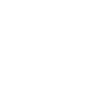 sanity logo