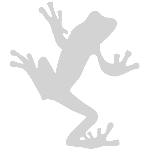 screaming frog logo