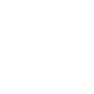RSO Consulting Logo